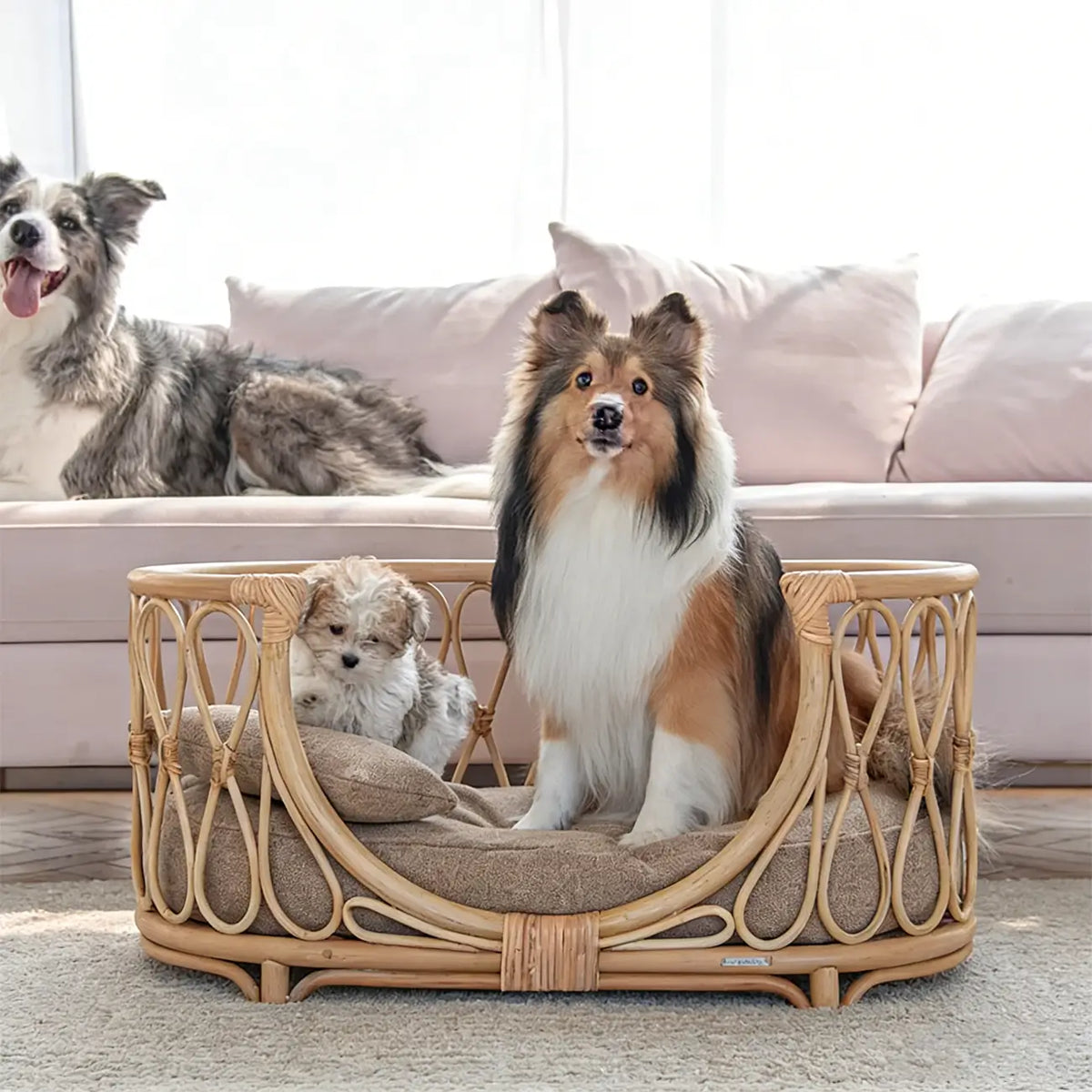 Boho Rattan Pet Bed  Cradle-Style for Small to Medium Dogs & Cats with Removable Cushion