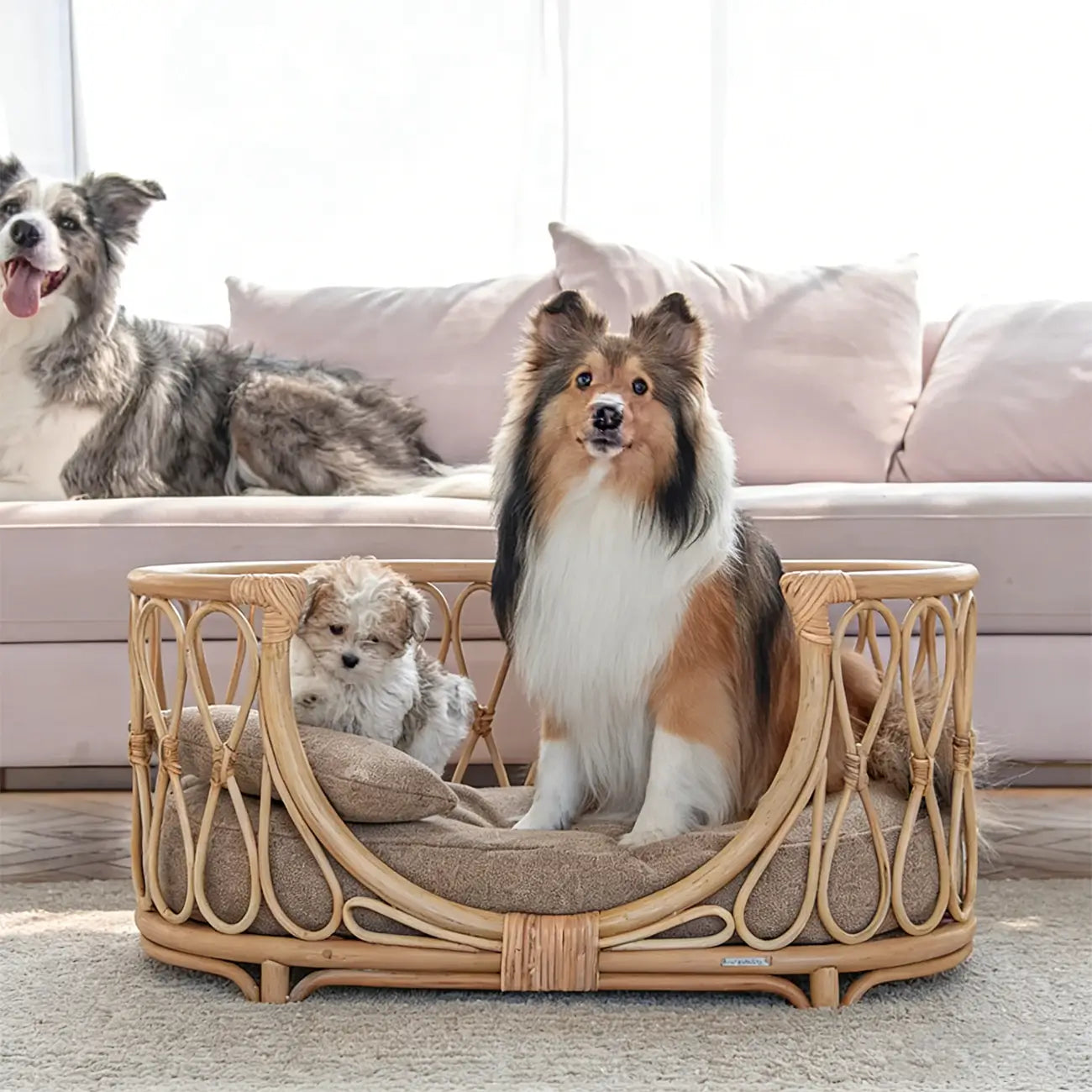 Boho Rattan Pet Bed  Cradle-Style for Small to Medium Dogs & Cats with Removable Cushion