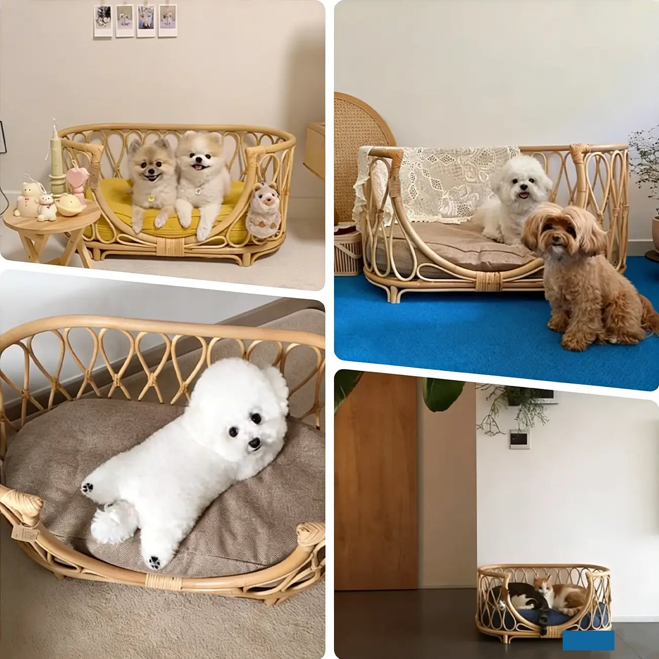 Boho Rattan Pet Bed  Cradle-Style for Small to Medium Dogs & Cats with Removable Cushion