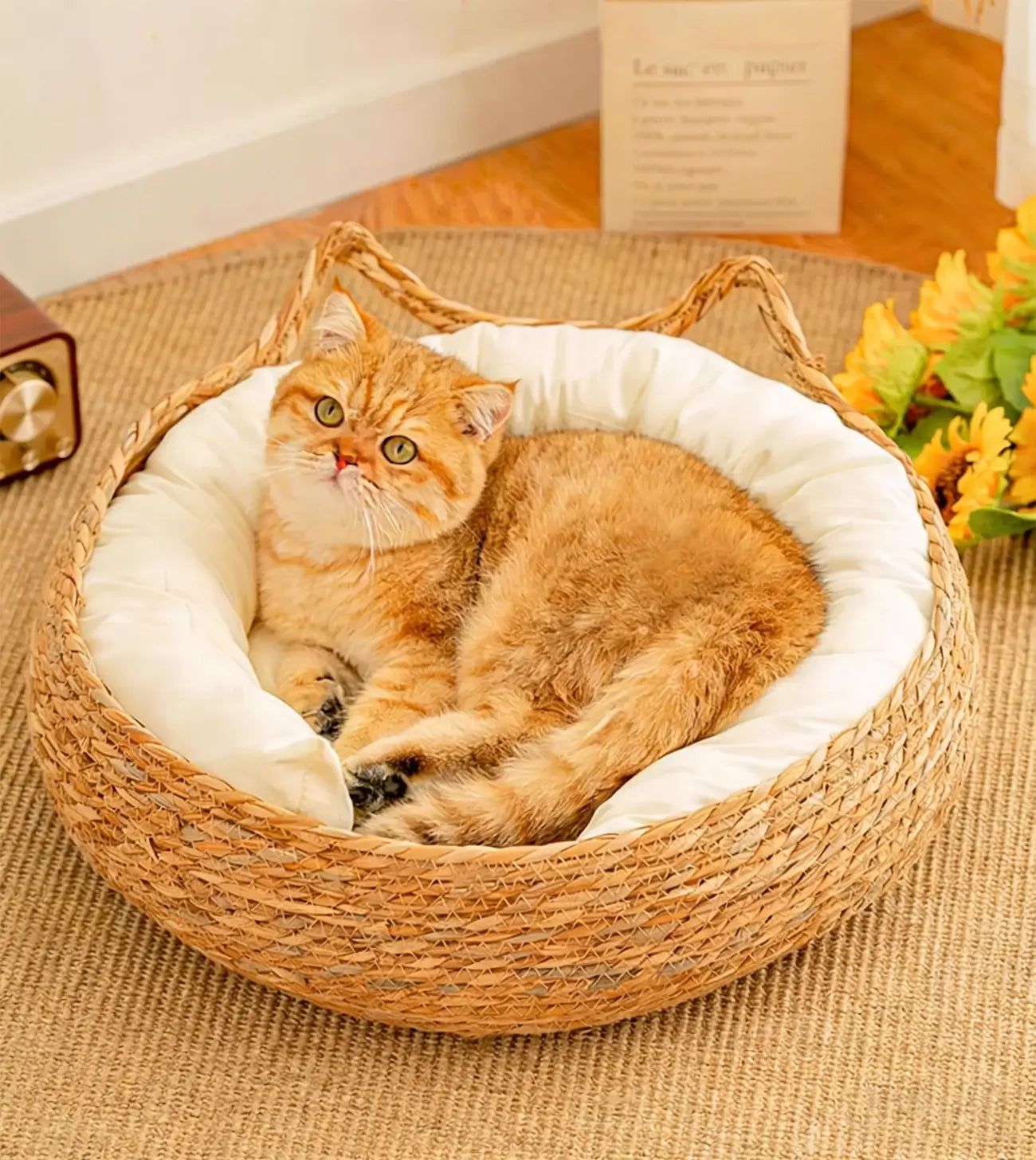 NienBam Handmade Rattan Cat Bed with Ears Cozy Washable Pet Nest