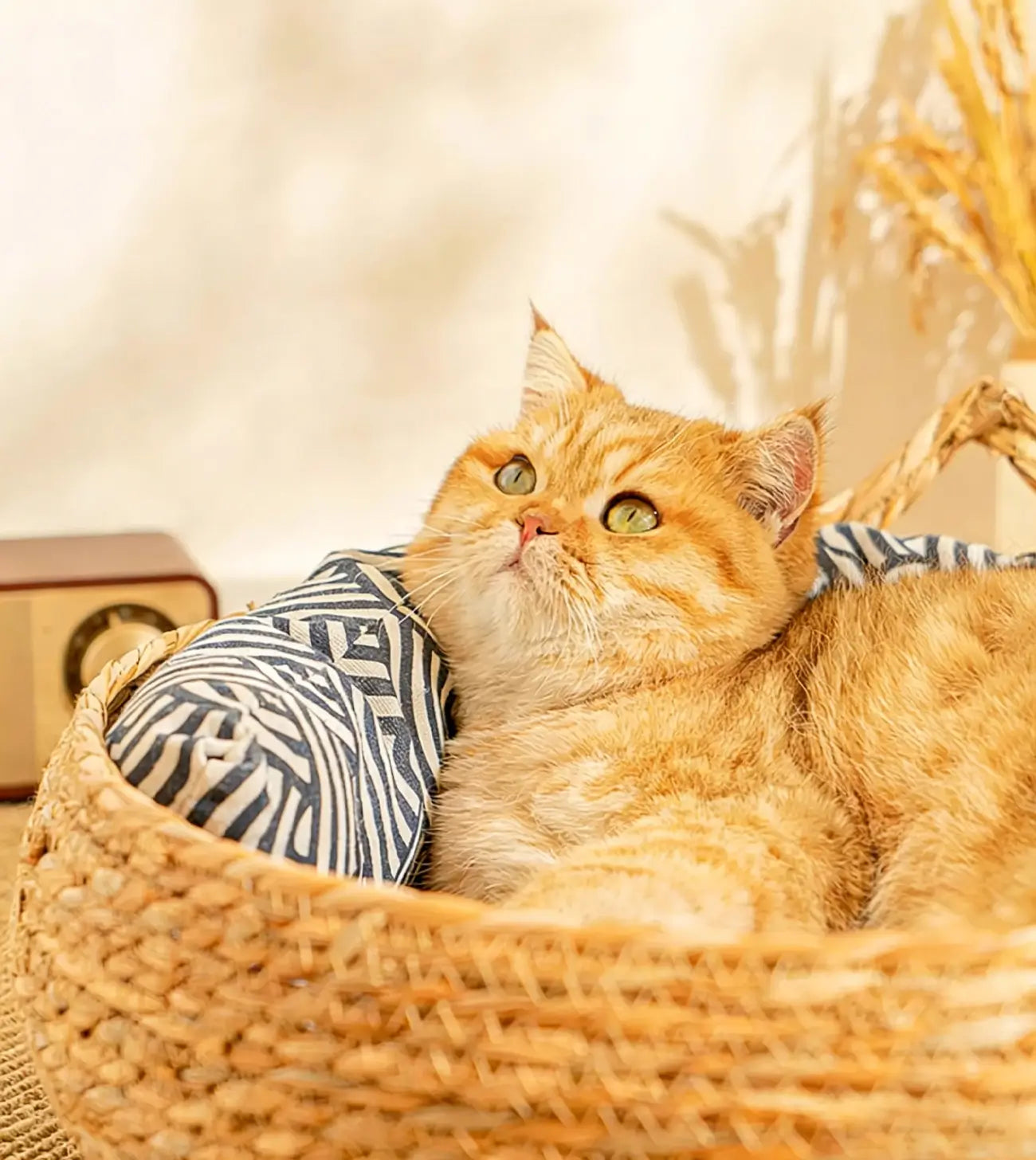 NienBam Handmade Rattan Cat Bed with Ears Cozy Washable Pet Nest