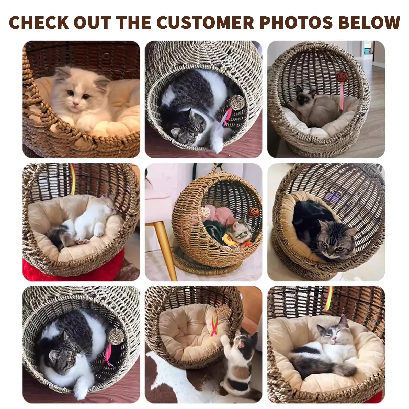 Hanging Seagrass Cat Bed  Elevated Woven Pet Nest with Stand & Cushion
