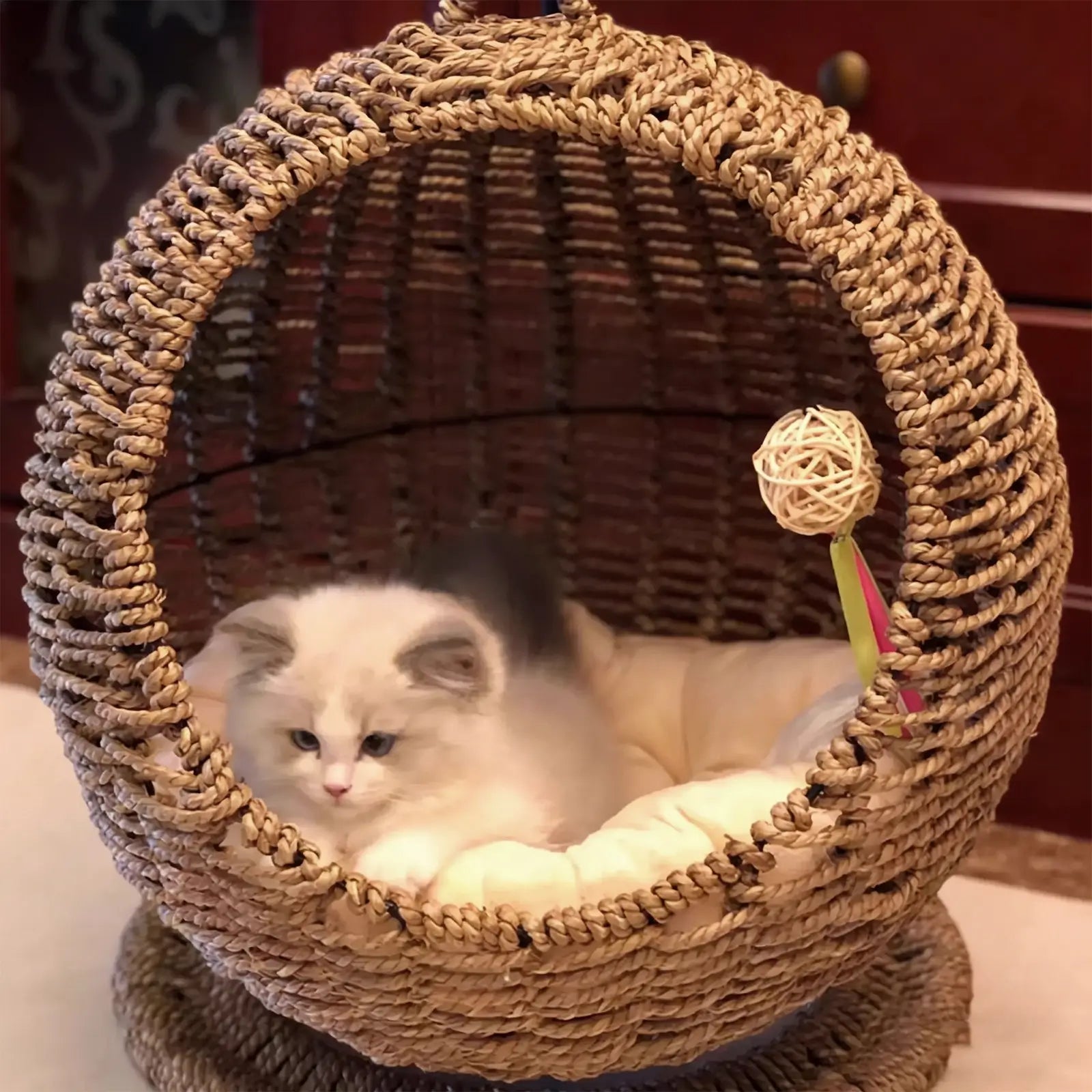Hanging Seagrass Cat Bed  Elevated Woven Pet Nest with Stand & Cushion